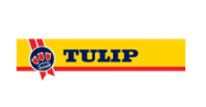 Tulip